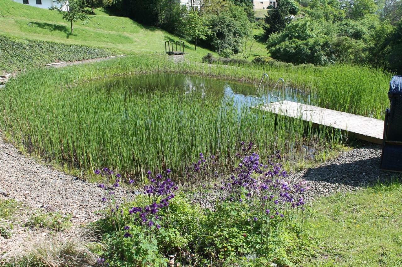 Belvedere Appart & Chalet: Edersee Retreat with GästeCard Waldeck  Exterior photo